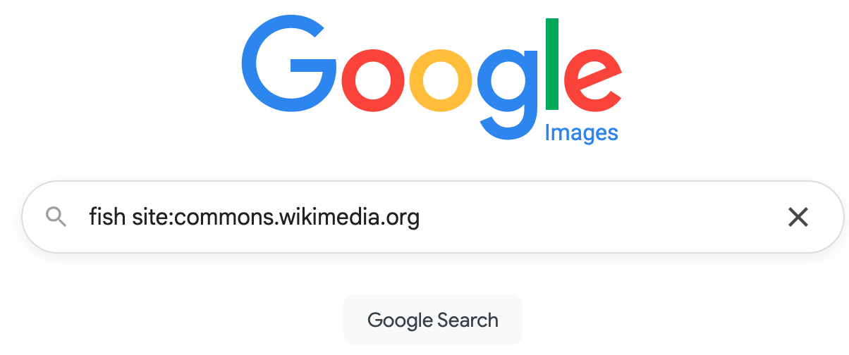 google images search